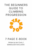 THE BEGINNERS GUIDE TO CLIMBING PROGRESSION - By Iain Cook